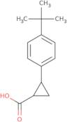 2-(4-tert-Butylphenyl)cyclopropane-1-carboxylic acid