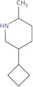 5-Cyclobutyl-2-methylpiperidine