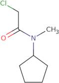 2-Chloro-N-cyclopentyl-N-methylacetamide