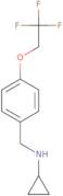 Cyclopropyl-[4-(2,2,2-trifluoro-ethoxy)-benzyl]-amine