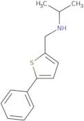 [(5-Phenylthiophen-2-yl)methyl](propan-2-yl)amine