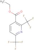 2,6-Bis-trifluoromethyl-nicotinic acid ethyl ester