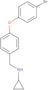 N-{[4-(4-Bromophenoxy)phenyl]methyl}cyclopropanamine