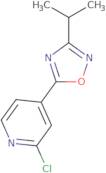 2-Chloro-4-[3-(propan-2-yl)-1,2,4-oxadiazol-5-yl]pyridine