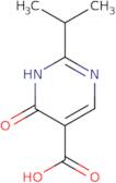 6-Oxo-2-(propan-2-yl)-1,6-dihydropyrimidine-5-carboxylic acid