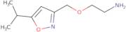 2-{[5-(Methylethyl)isoxazol-3-yl]methoxy}ethylamine