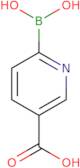 6-Borononicotinic acid