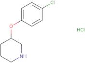 3-(4-chlorophenoxy)piperidine hcl