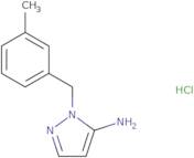 1-[(3-Methylphenyl)methyl]-1H-pyrazol-5-amine hydrochloride