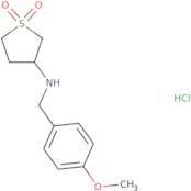 N-(1,1-Dioxidotetrahydrothien-3-yl)-N-(4-methoxybenzyl)amine hydrochloride