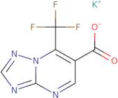 Potassium 7-(trifluoromethyl)-[1,2,4]triazolo[1,5-a]pyrimidine-6-carboxylate