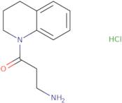 3-Amino-1-(1,2,3,4-tetrahydroquinolin-1-yl)propan-1-one hydrochloride