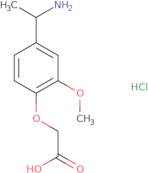 2-[4-(1-Aminoethyl)-2-methoxyphenoxy]acetic acid hydrochloride