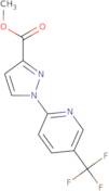 Methyl 1-[5-(trifluoromethyl)pyridin-2-yl]-1H-pyrazole-3-carboxylate