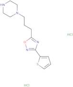 1-{3-[3-(Thiophen-2-yl)-1,2,4-oxadiazol-5-yl]propyl}piperazine dihydrochloride