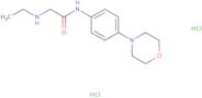 2-(Ethylamino)-N-(4-morpholin-4-ylphenyl)acetamide dihydrochloride