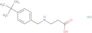 3-{[(4-tert-Butylphenyl)methyl]amino}propanoic acid hydrochloride