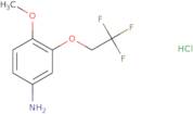 4-Methoxy-3-(2,2,2-trifluoroethoxy)aniline hydrochloride