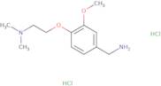 {4-[2-(Dimethylamino)ethoxy]-3-methoxyphenyl}methanamine dihydrochloride