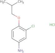 3-Chloro-4-(2-methylpropoxy)aniline hydrochloride