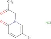 5-Bromo-1-(2-oxopropyl)-1,2-dihydropyridin-2-one hydrochloride