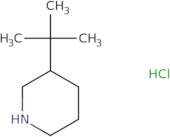 3-tert-Butylpiperidine hydrochloride