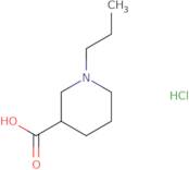 1-Propylpiperidine-3-carboxylic acid hydrochloride