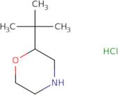 2-(tert-Butyl)morpholine hydrochloride