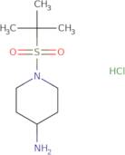 1-(2-Methylpropane-2-sulfonyl)piperidin-4-amine hydrochloride