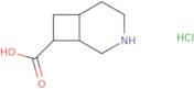 rac-(1R,6S,8R)-3-Azabicyclo[4.2.0]octane-8-carboxylic acid hydrochloride