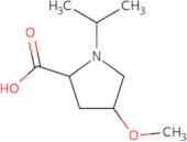 (2S,4S)-1-Isopropyl-4-methoxy-proline