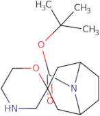 tert-Butyl rac-(1R,3R,5S)-8H-spiro[8-azabicyclo[3.2.1]octane-3,2'-[1,4]oxazinane]-8-carboxylate