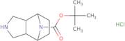 tert-Butyl rel-(1R,2S,6R,7S)-4,10-diazatricyclo[5.2.1.0(2,6)]decane-10-carboxylate hydrochloride