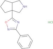 rac-5-[(3aR,6aR)-Octahydrocyclopenta[C]pyrrol-3a-yl]-3-phenyl-1,2,4-oxadiazole hydrochloride
