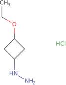 [3-Ethoxycyclobutyl]hydrazine hydrochloride