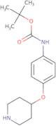 4-(4-Boc-aminophenoxy)piperidine