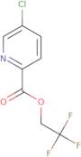 2,2,2-Trifluoroethyl 5-chloropyridine-2-carboxylate