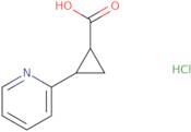 2-(Pyridin-2-yl)cyclopropane-1-carboxylic acid hydrochloride