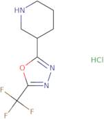 2-(Piperidin-3-yl)-5-(trifluoromethyl)-1,3,4-oxadiazole hydrochloride