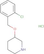 3-(2-Chloro-benzyloxy)-piperidine hydrochloride