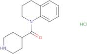 1-(Piperidine-4-carbonyl)-1,2,3,4-tetrahydroquinoline hydrochloride