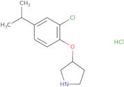 3-(2-Chloro-4-isopropylphenoxy)pyrrolidine hydrochloride