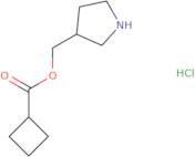 3-Pyrrolidinylmethyl cyclobutanecarboxylatehydrochloride