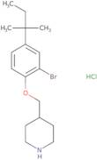 4-{[2-Bromo-4-(tert-pentyl)phenoxy]-methyl}piperidine hydrochloride