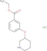 Ethyl 3-(3-piperidinyloxy)benzoate hydrochloride