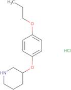 3-(4-Propoxyphenoxy)piperidine hydrochloride