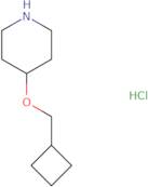 4-(Cyclobutylmethoxy)piperidine hydrochloride