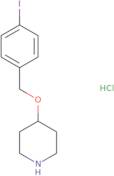 4-((4-Iodobenzyl)oxy)piperidine hydrochloride