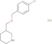 3-(4-Chloro-benzyloxymethyl)-piperidine hydrochloride