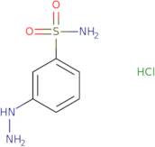 3-Hydrazinobenzenesulfonamide hydrochloride